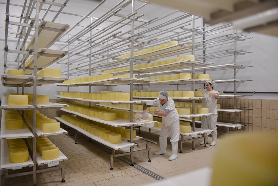 Mbështetje Bujqësisë